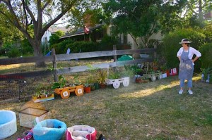 Jennifer the Garden Lady